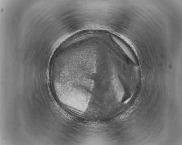 X0000086930935200705071349