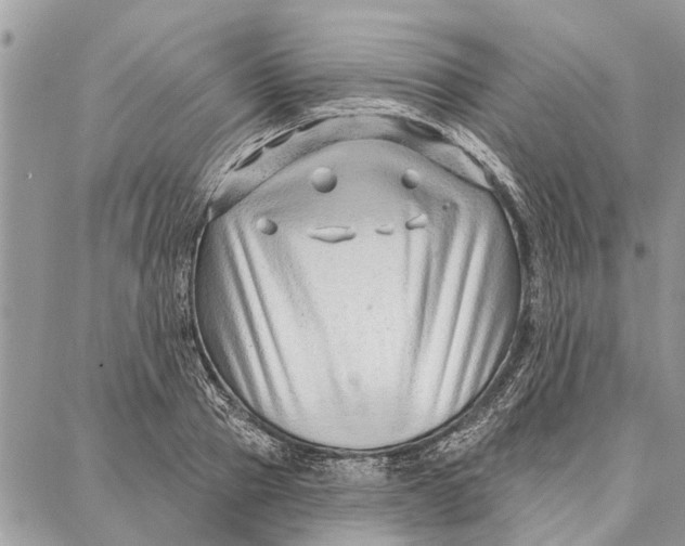 X0000086930937200705071349