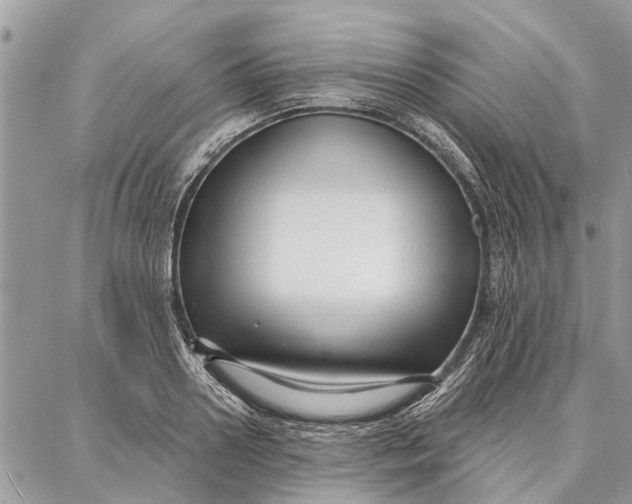 X0000086930938200705071349