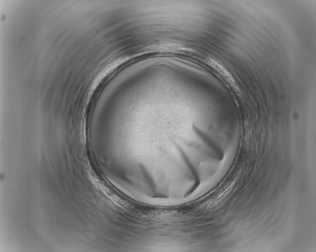 X0000086930939200705071349