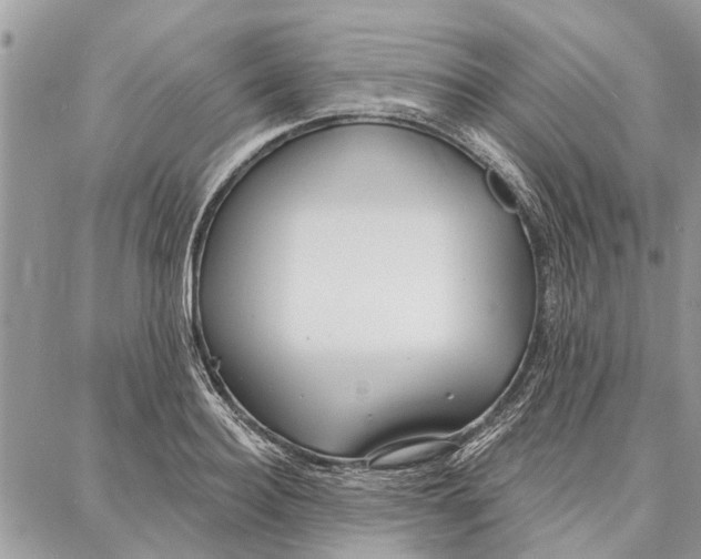 X0000086930940200705071349