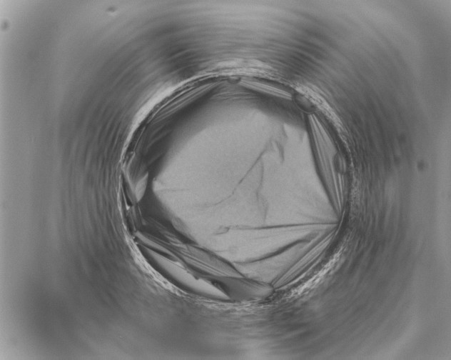 X0000086930941200705071349