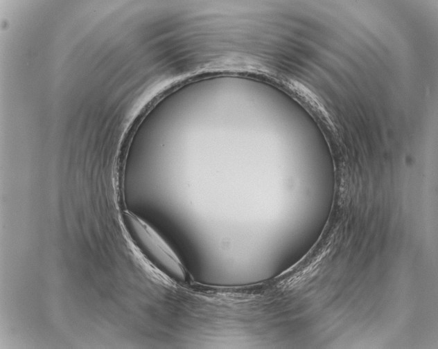 X0000086930942200705071349