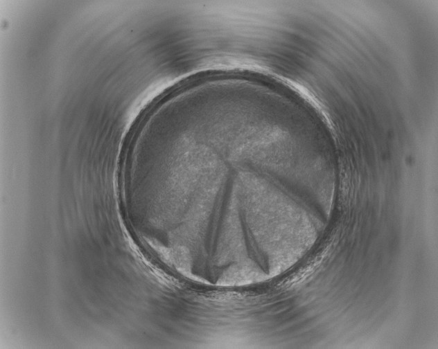 X0000086930943200705071349