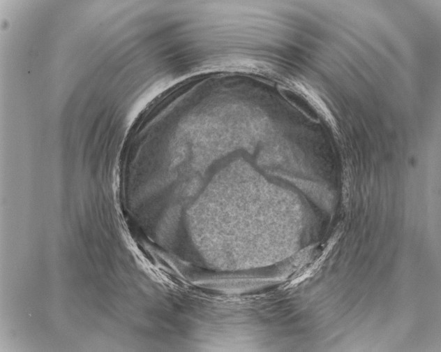 X0000086930944200705071349