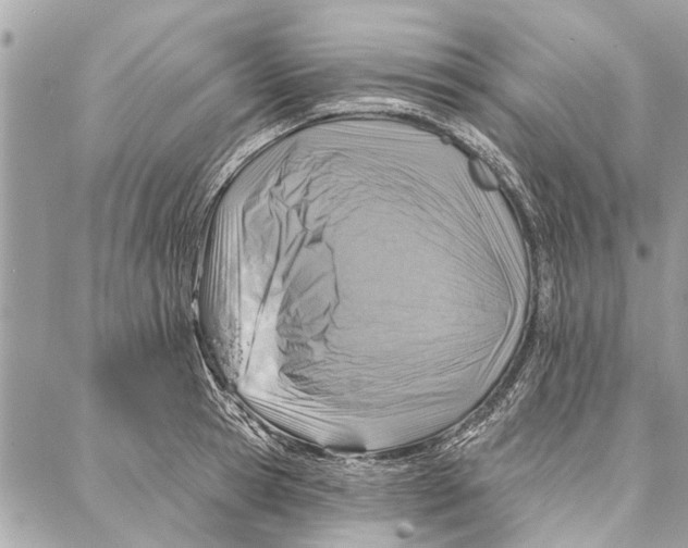 X0000086930945200705071349