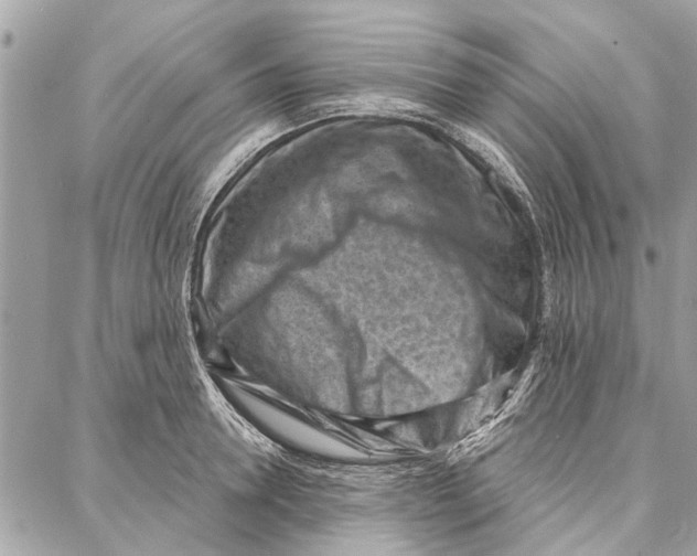 X0000086930946200705071350