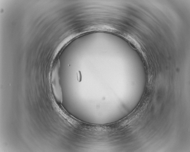 X0000086930947200705071350