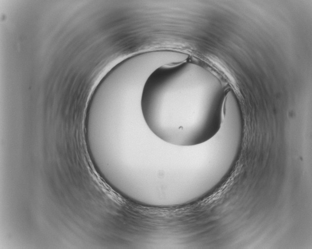 X0000086930948200705071350