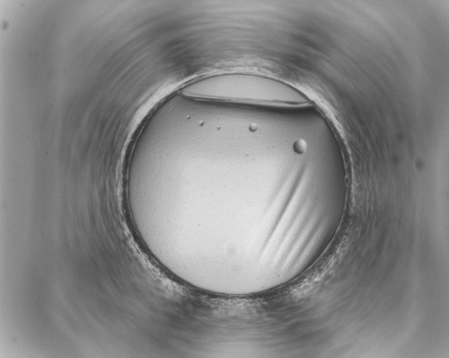 X0000086930949200705071350