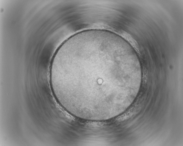 X0000086930950200705071350