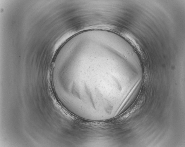 X0000086930952200705071350