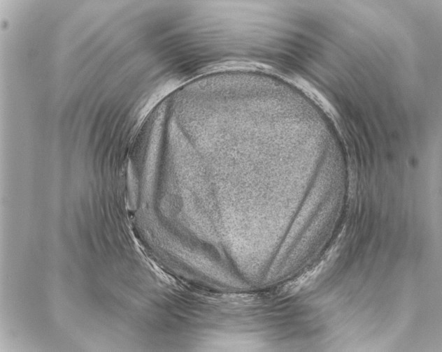 X0000086930953200705071350