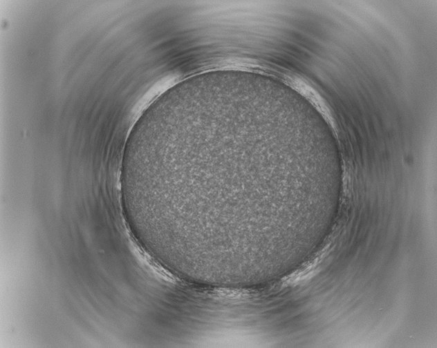 X0000086930954200705071350