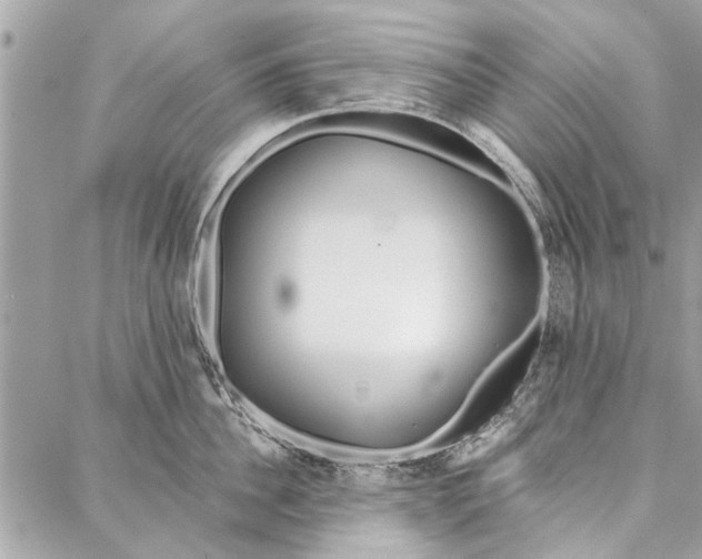 X0000086930956200705071350