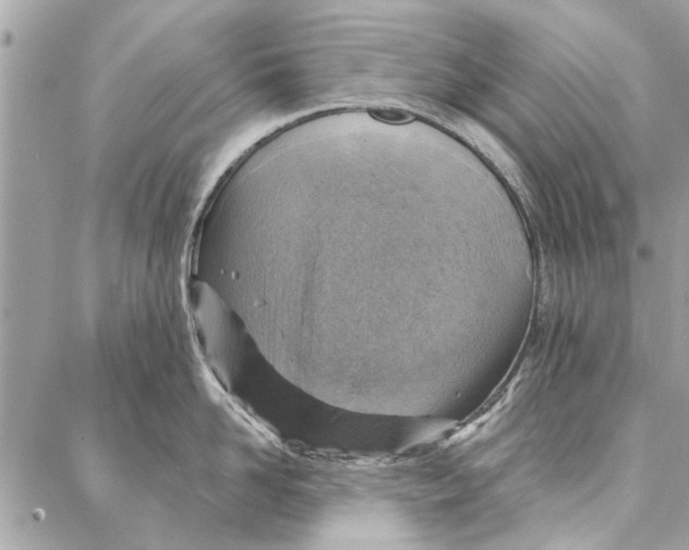 X0000086930958200705071350