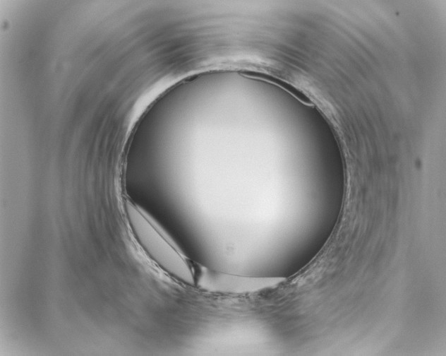 X0000086930960200705071350