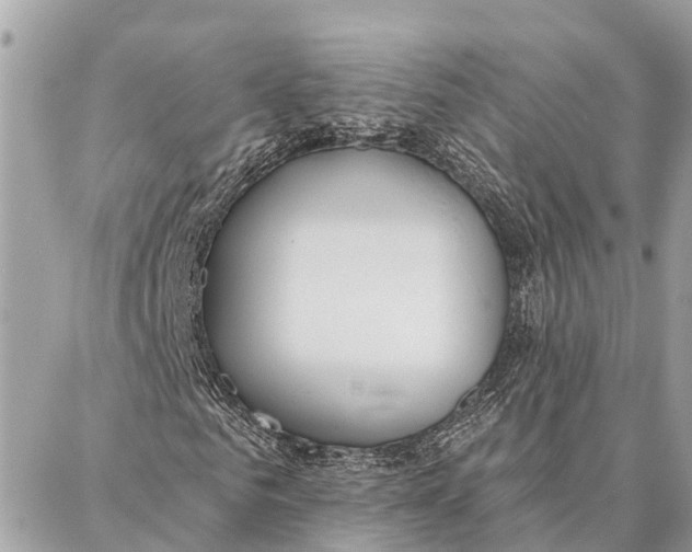 X0000086930961200705071349