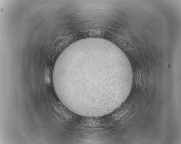 X0000086930962200705071349