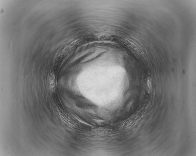 X0000086930963200705071349