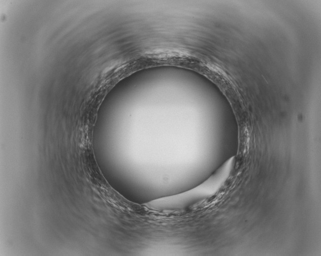 X0000086930965200705071349