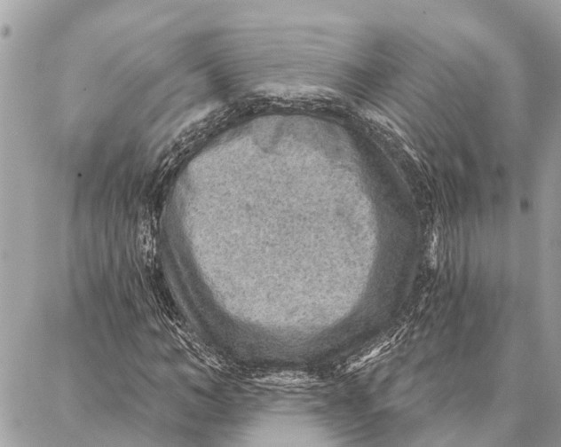 X0000086930966200705071349