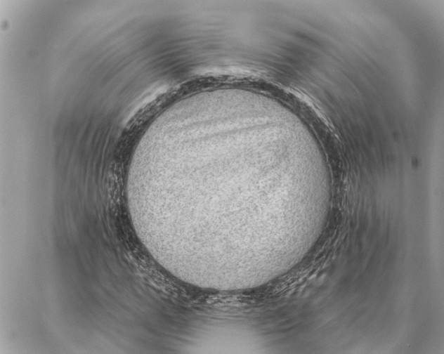 X0000086930967200705071349