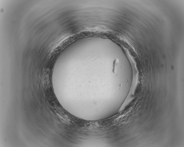 X0000086930968200705071349