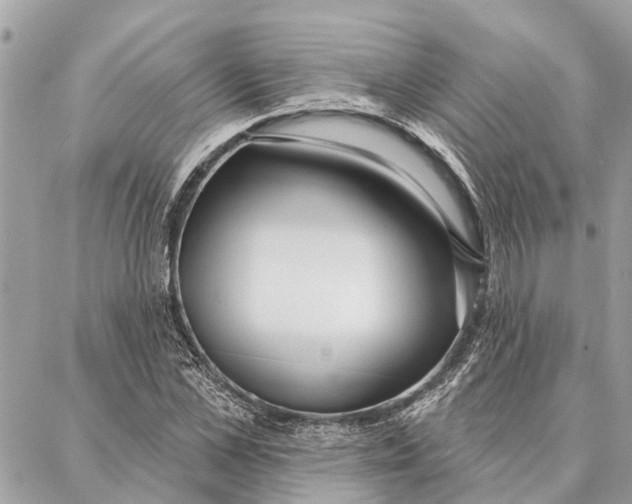 X0000086930973200705071349