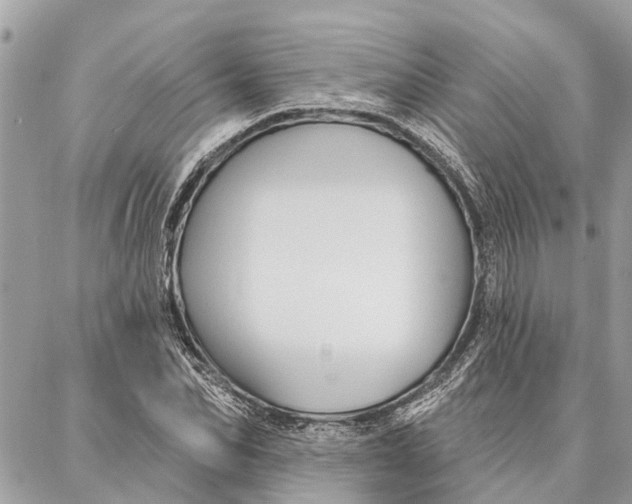 X0000086930974200705071349