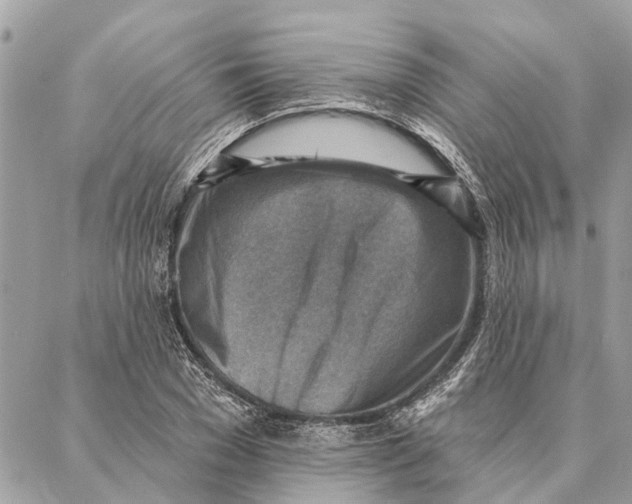 X0000086930977200705071349