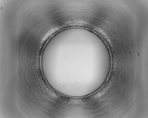 X0000086930978200705071349