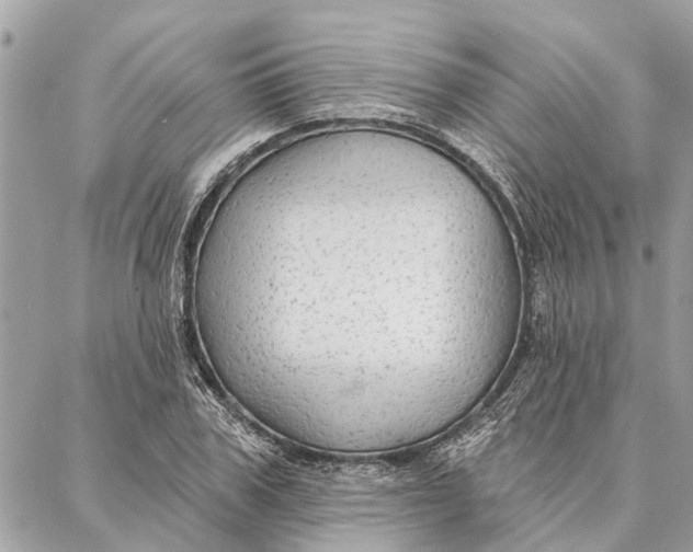 X0000086930979200705071349