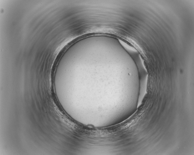 X0000086930980200705071349