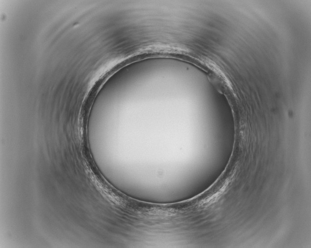 X0000086930981200705071349