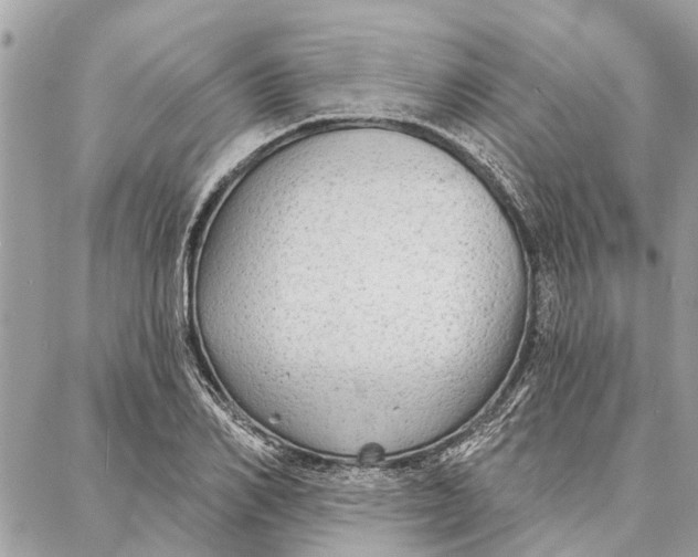 X0000086930982200705071349