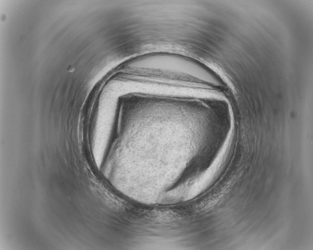 X0000086930983200705071349