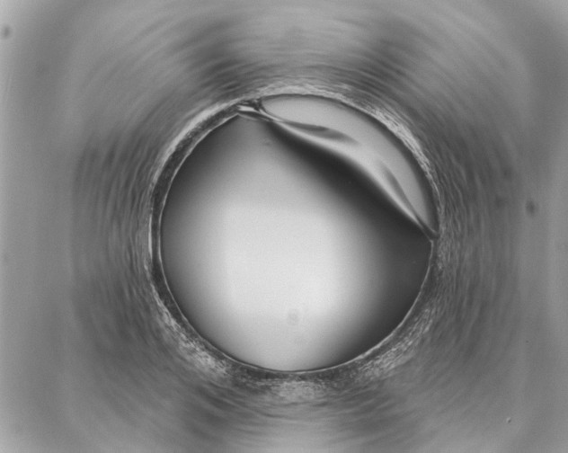 X0000086930984200705071349