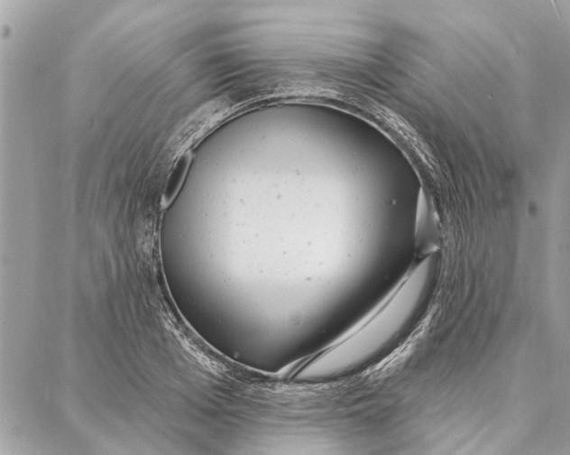 X0000086930985200705071349