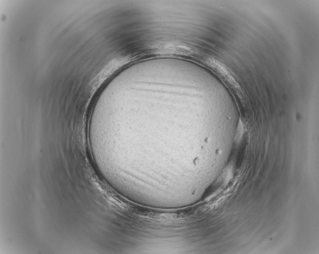 X0000086930986200705071349