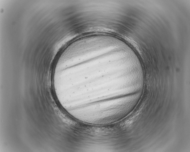 X0000086930987200705071349