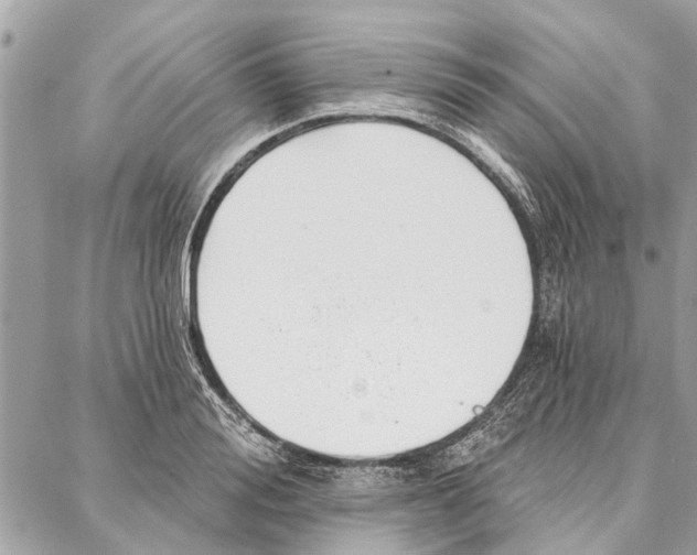 X0000086930988200705071349