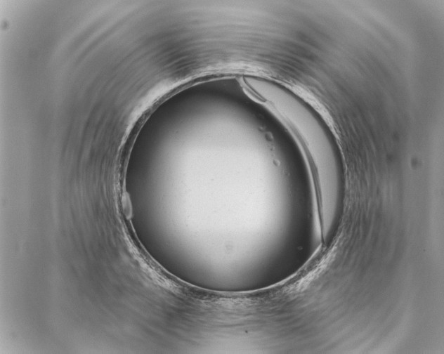 X0000086930989200705071348