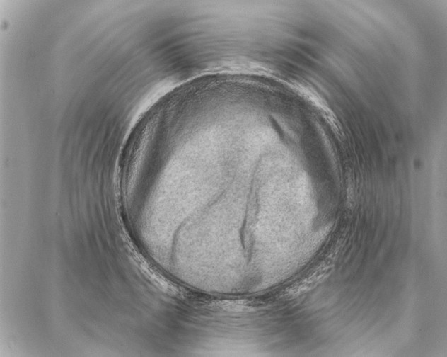 X0000086930990200705071348