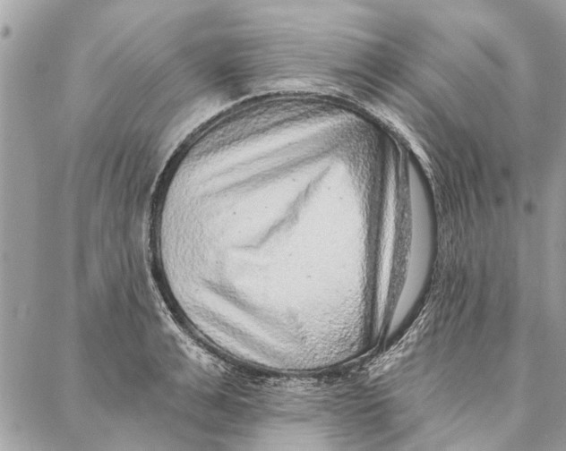 X0000086930991200705071348