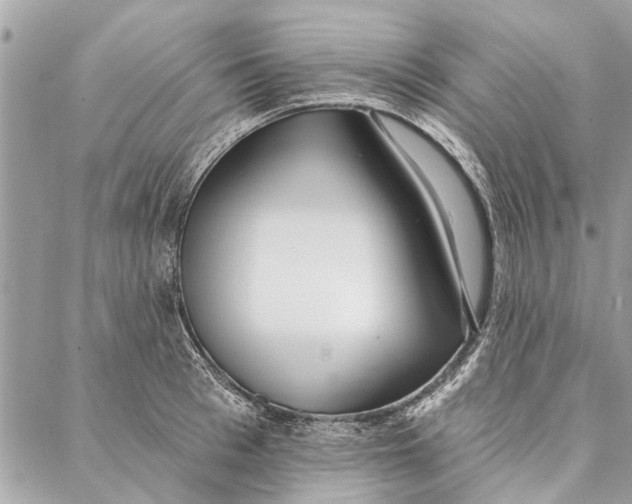 X0000086930993200705071348