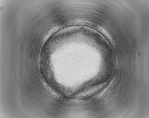 X0000086930994200705071348