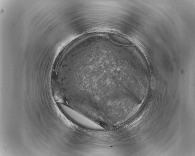 X0000086930995200705071348