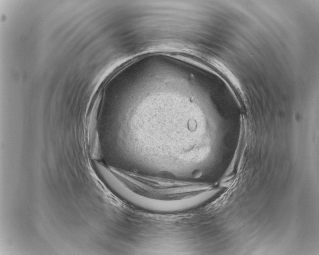 X0000086930996200705071348