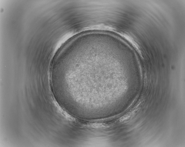 X0000086930998200705071348